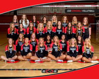Clarion-Goldfield-Dows Volleyball 2026