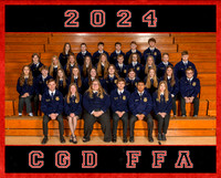 CGD FFA 2024